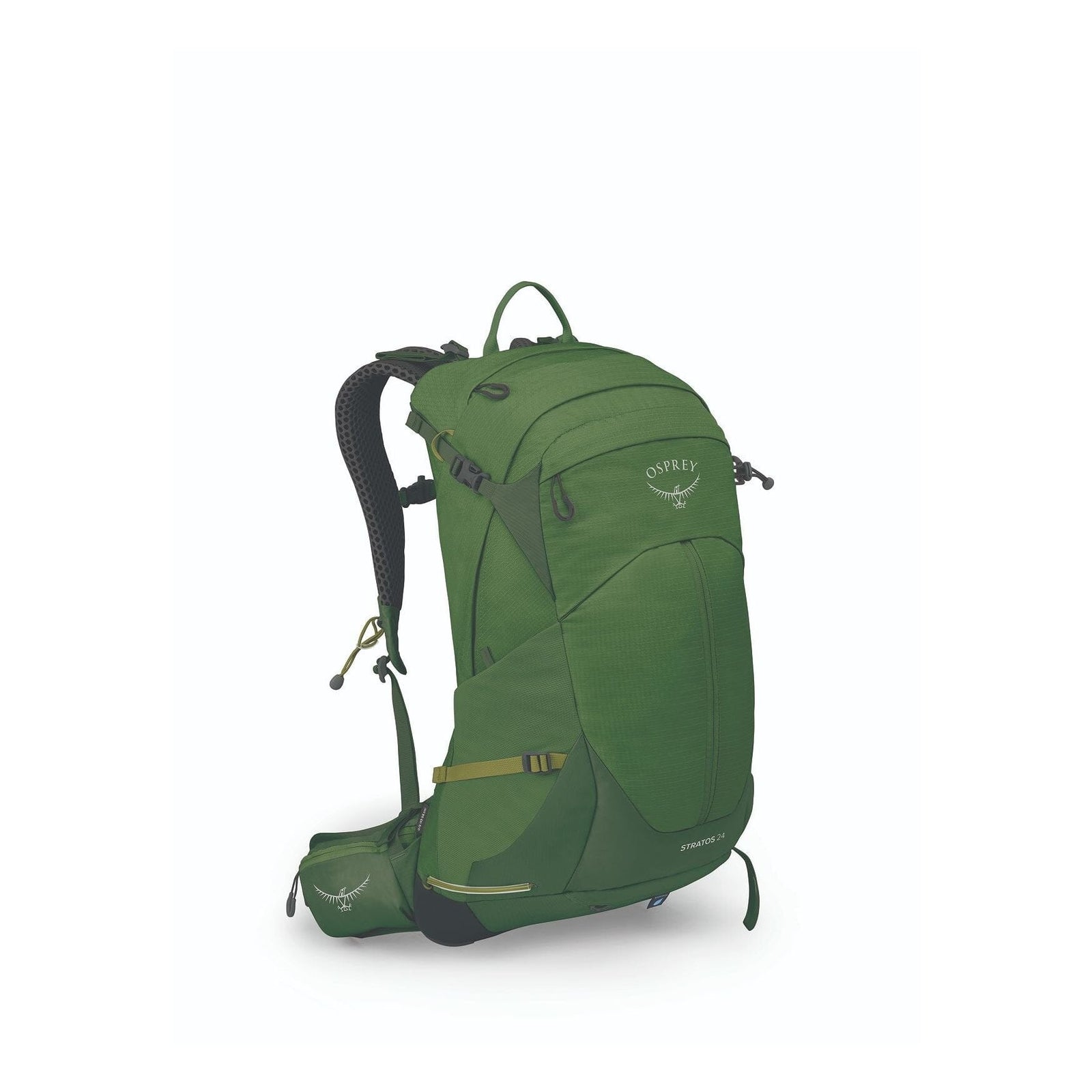 Osprey Stratos 24 Men's Daypack Seaweed Matcha Green 